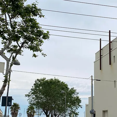 Piccari Nuova Gestione Hotel Rimini