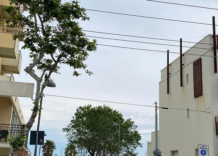 Piccari Nuova Gestione Hotel Rimini